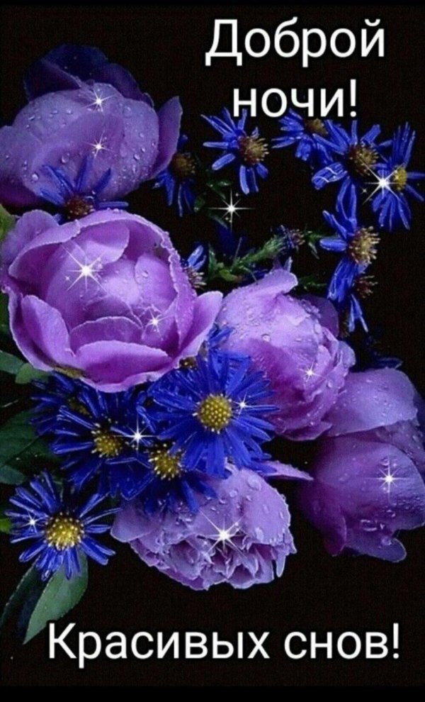цветы добрый вечер