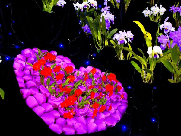 мерцающие букеты цветов