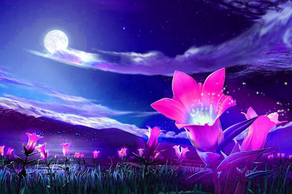 ночной цветок луноцвет