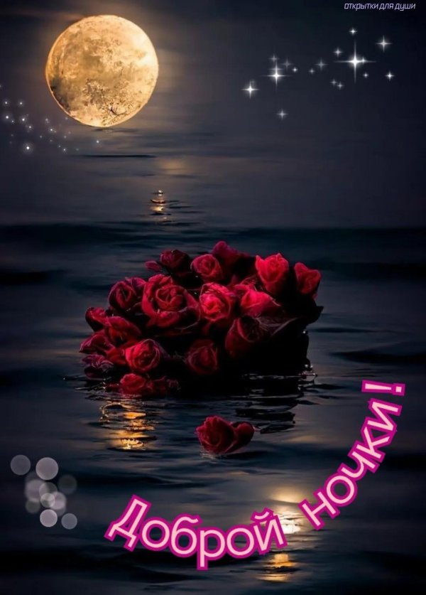 добрая ночь