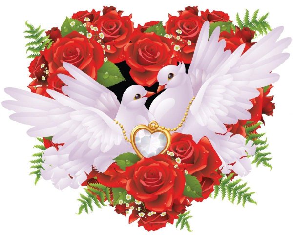 свадебные голуби