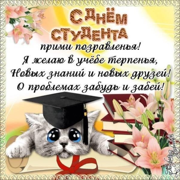 день студент