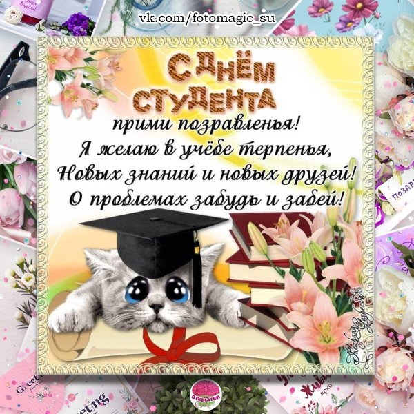 день студент
