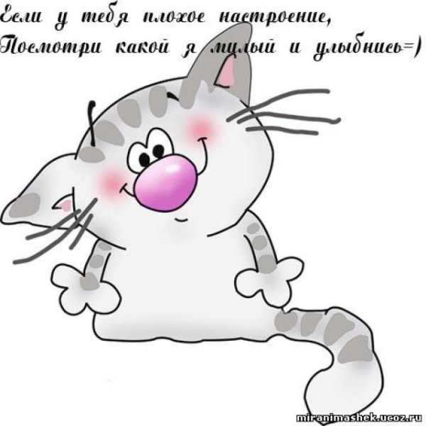 веселые высказывания