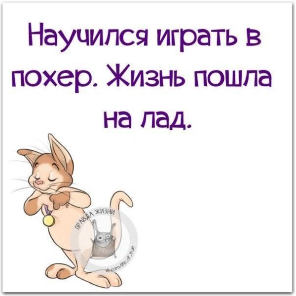 правда жизни