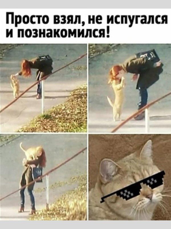 приколы юмор