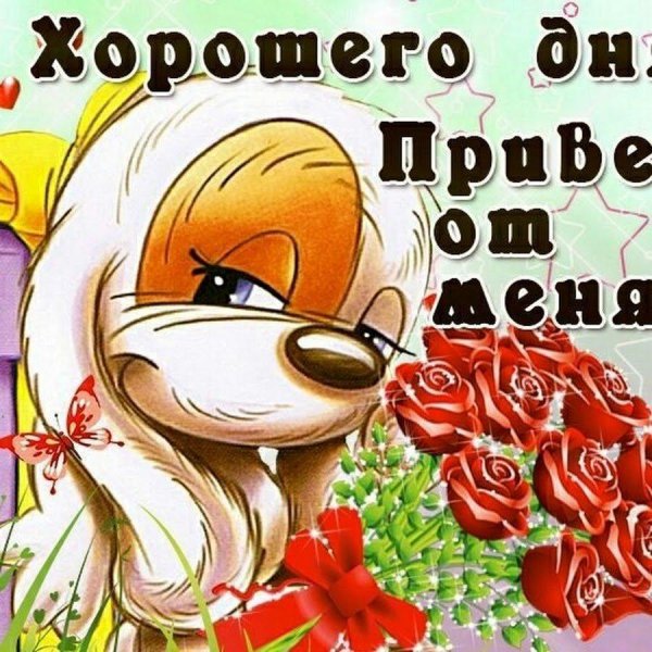 привет открытки красивые