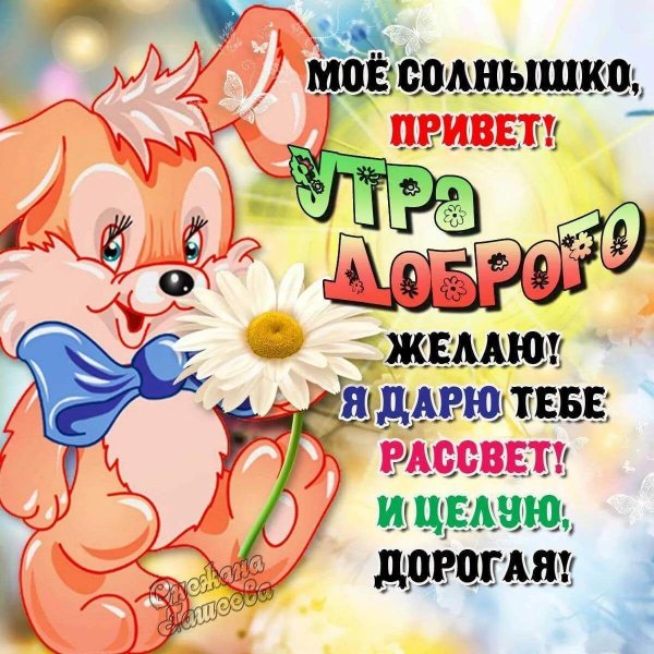солнышко привет