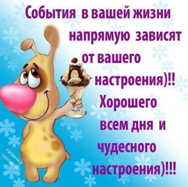 доброго дня и хорошего настроения прикольные