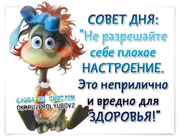 совет дня
