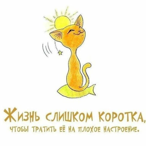 жизнь слишком коротка чтобы тратить