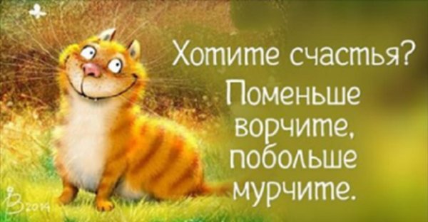 для поднятия настроения