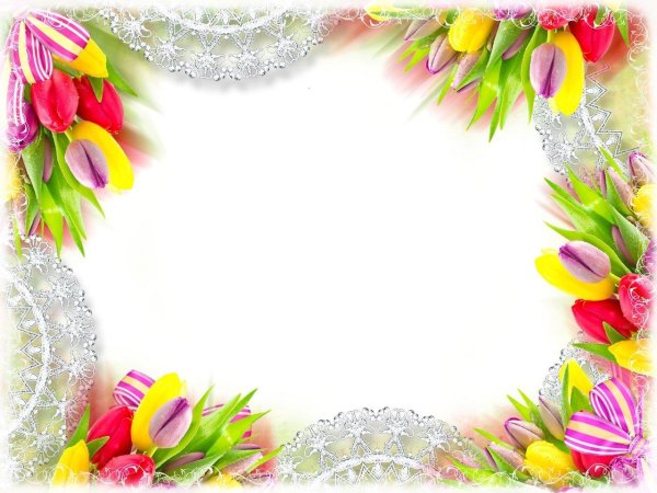 рамка из тюльпанов