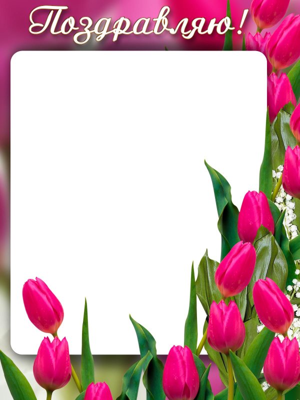 красивые рамки с тюльпанами