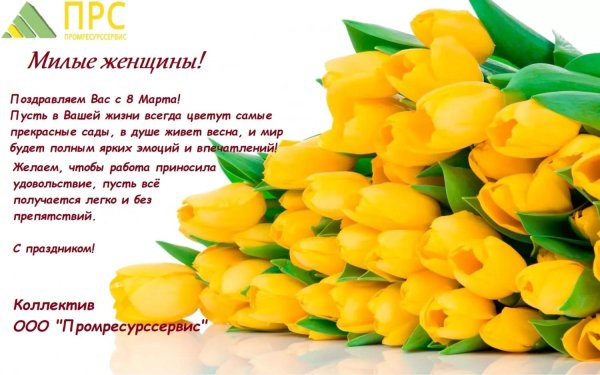 лаймовые тюльпаны