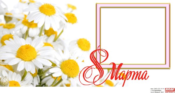рамка с ромашками