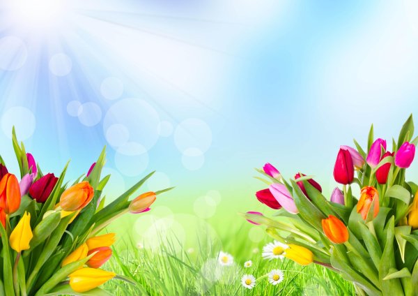 весенние фоны