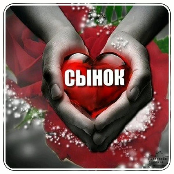 я люблю тебя сынок