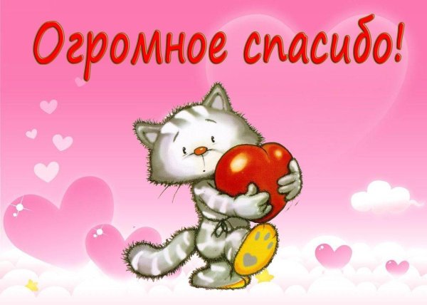 открытки спасибочки прикольные