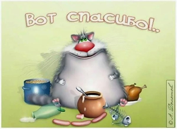 шуточные открытки