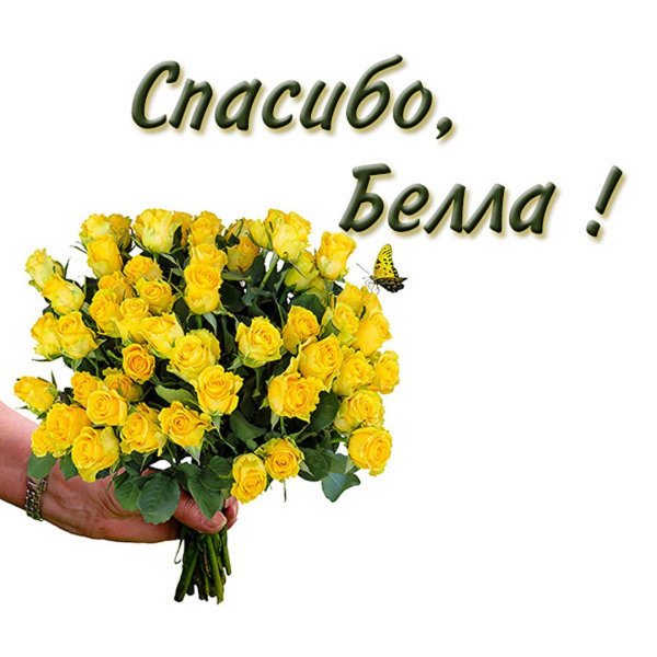 с благодарностью открытки