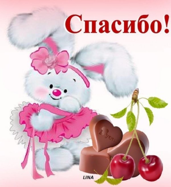 милые зайчики