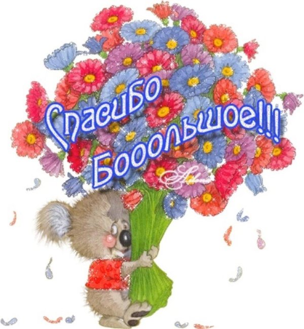 благодарим за поздравление