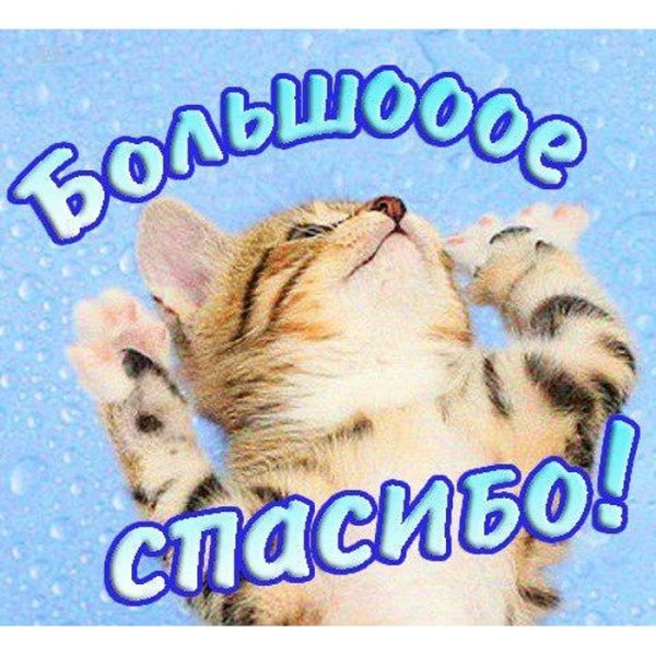 открытка с благодарностью