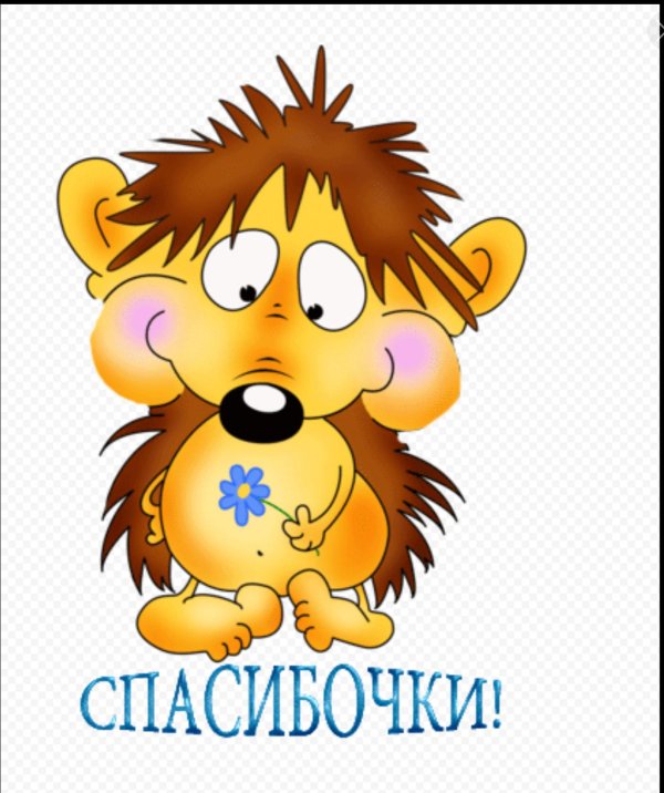 мультяшный ежик