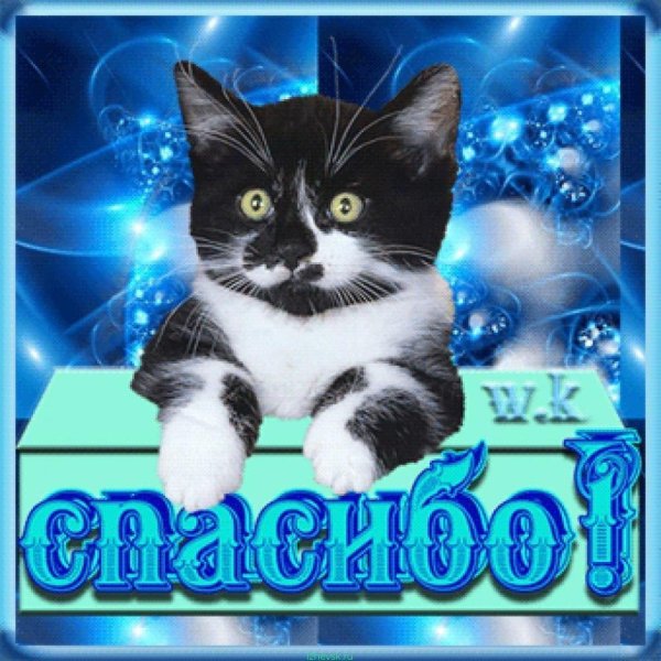 открытки спасибочки