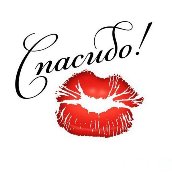 открытка целую