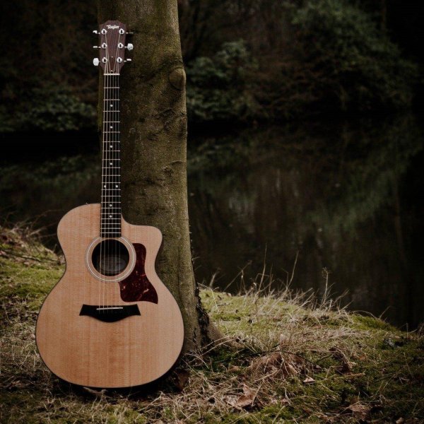 electric acoustic guitar