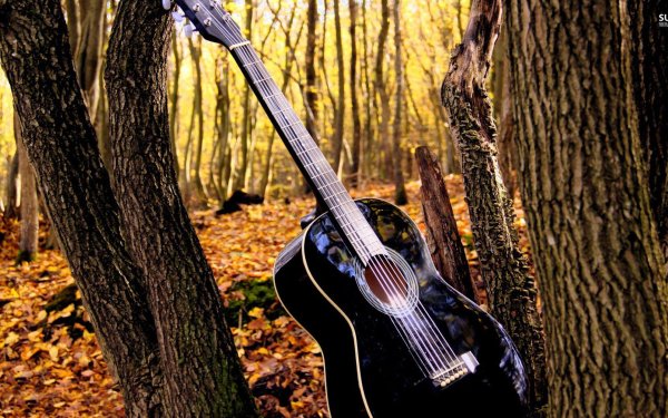 электрогитара на природе