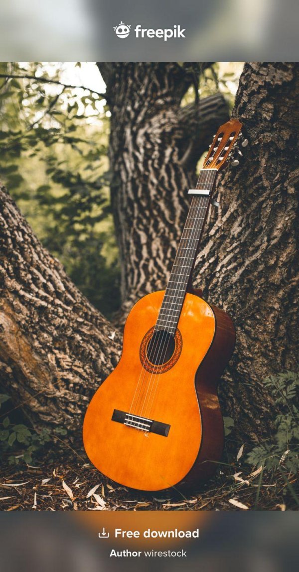 обычная гитара