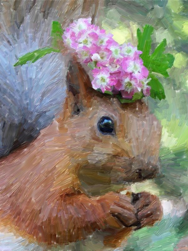 европейская белка