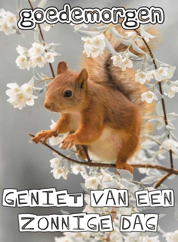 животные весной