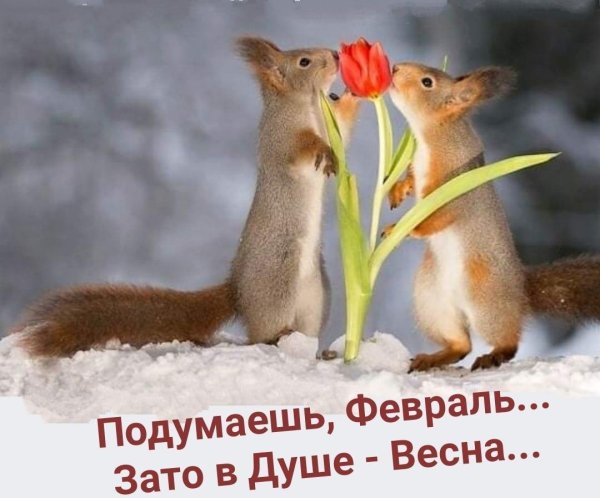 животные весна