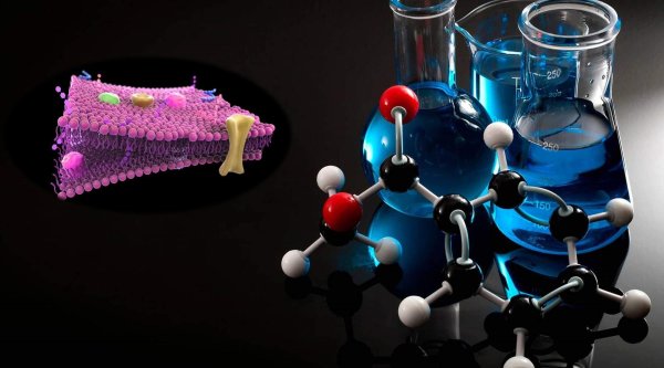 лаборатория органического синтеза