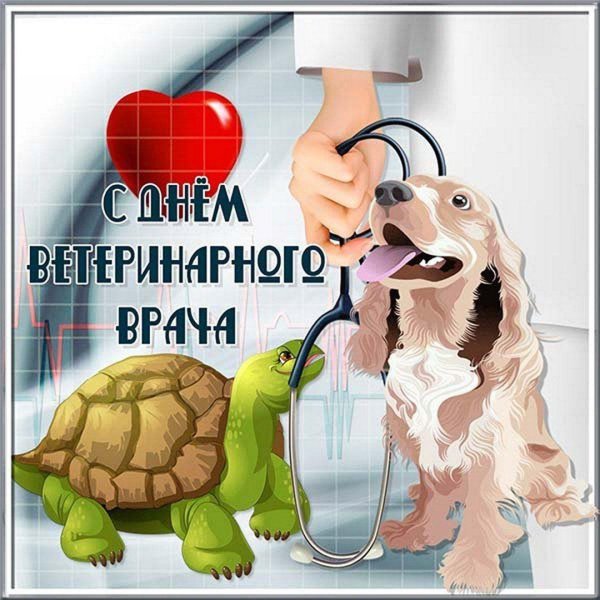 международный день ветеринара