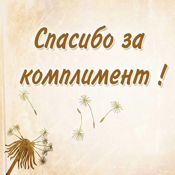 спасибо за поздравление