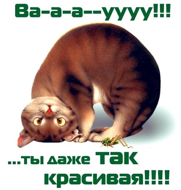 красивые комплименты