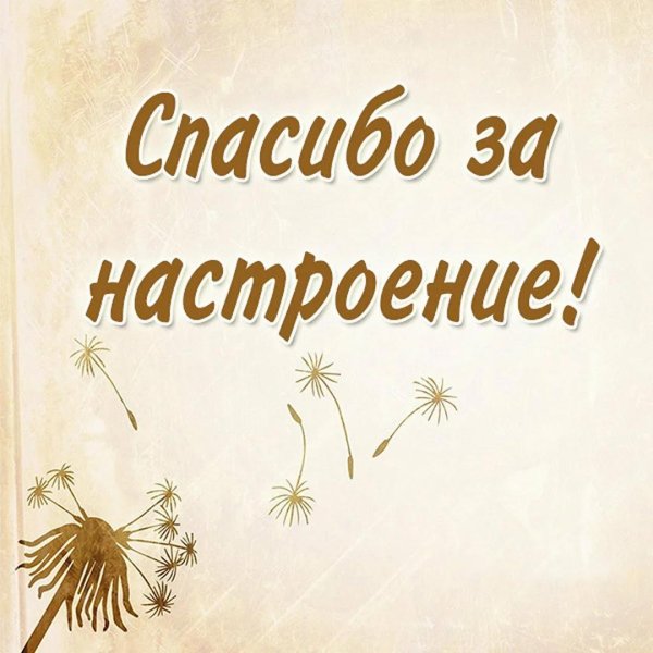 спасибо мужчинам