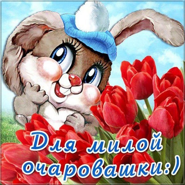 зайчики милые