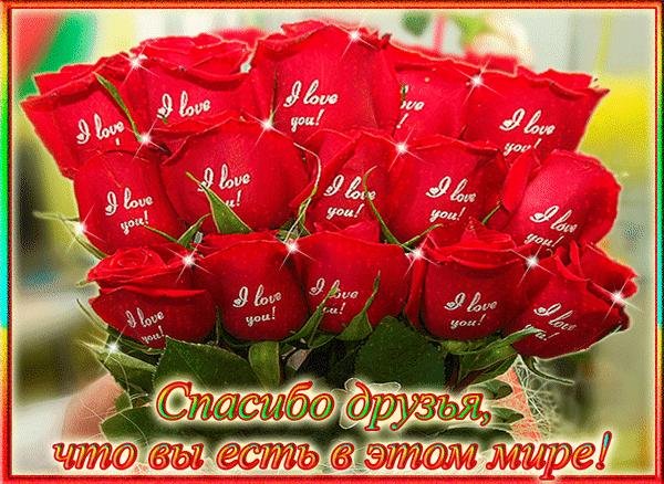 дорогие мои друзья