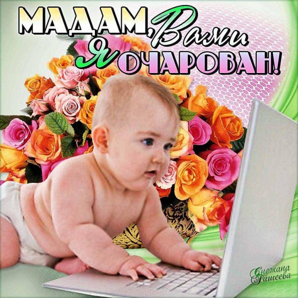 какая красотка