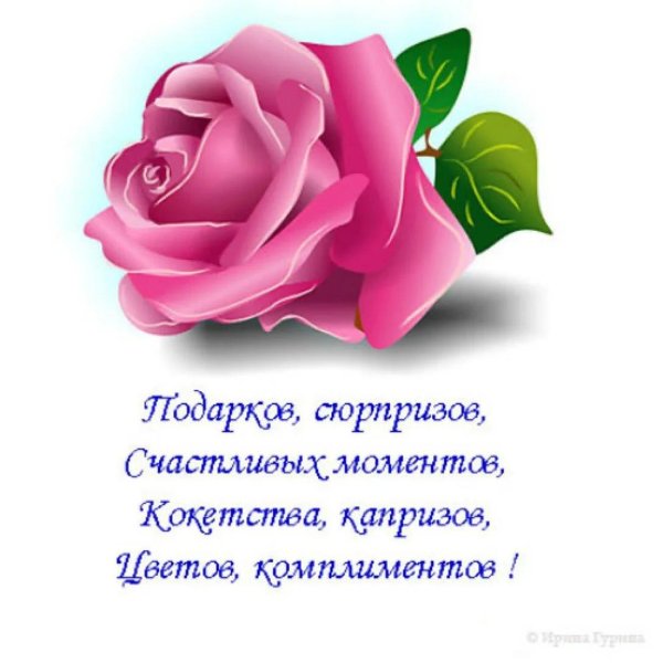 розовая роза