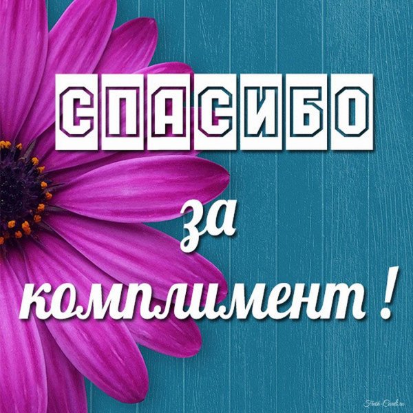 благодарю благодарю благодарю