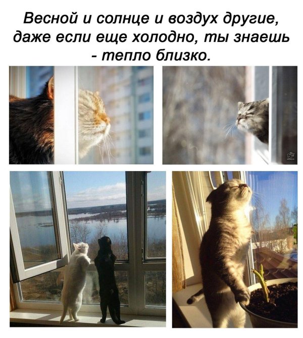 будет тепло