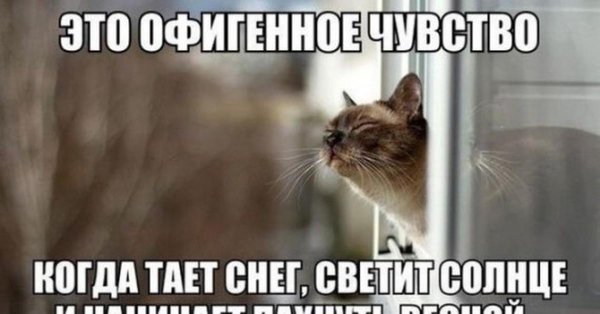 запах весны