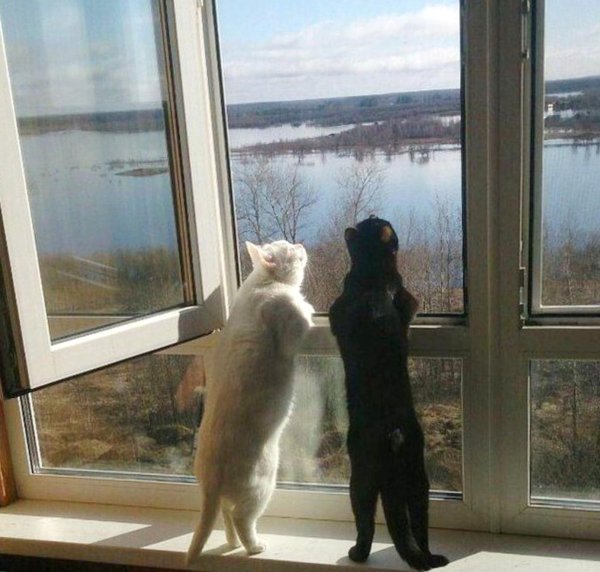 запахло весной